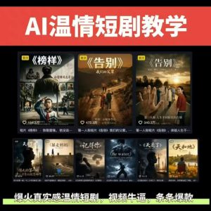 抖音58W粉丝博主的AI温情短剧玩法，条条爆款，伙伴计划+精选独家收益，商单收徒等(更新6月)-聊项目