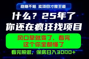 26年，请不要疯狂的找项目做了！卖项目才是真的稳賺不赔，看完照做，保底日入1k+【揭秘】-聊项目