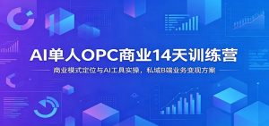 AI单人OPC商业14天训练营:商业模式定位与AI工具实操,私域B端业务变现方案-聊项目