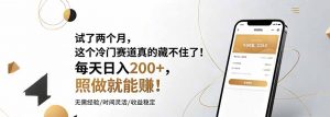 试了两个月，这个冷门赛道真的藏不住了！每天日入200+，照做就能赚！-聊项目