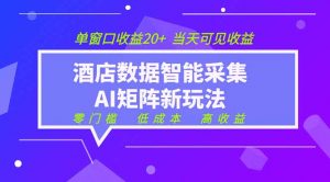 2026酒店数据采集ai智能矩阵新风口 低成本 高收益 当天见收益 单窗口20+-聊项目