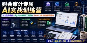 财会审计专属AI实战训练营｜AI协同编程+Python审计工具箱+Excel VBA加载项落地-聊项目