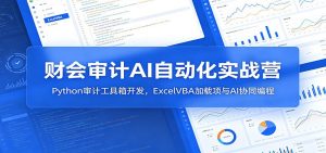 财会审计AI自动化实战营:Python审计工具箱开发,ExcelVBA加载项与AI协同编程-聊项目