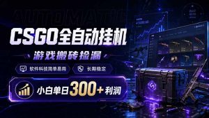CSGO全自动挂机，游戏搬砖捡漏，软件科技简单易用，长期稳定，小白单日300+利润-聊项目