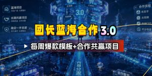 团长蓝海合作3.0，每周爆款模板+合作共赢项目-聊项目