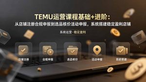 TEMU运营课程(基础+进阶-聊项目