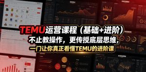 TEMU运营课程(基础+进阶),不止教操作,更传授底层思维,一门让你真正看懂TEMU的进阶课-聊项目