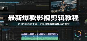最新爆款影视剪辑教程：大V内部实操干货，字幕模板音频优化成片教学-聊项目