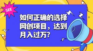 如何正确的选择网创项目，达到月入过万？，本课程教你正确选择项目。-聊项目