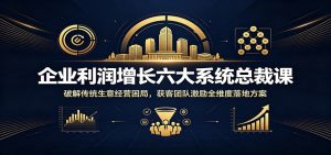 企业利润增长六大系统总裁课:破解传统生意经营困局,获客团队激励全维度落地方案-聊项目