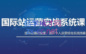 白老师·国际站运营实战系统(高质量询盘增长课)(更新)-聊项目