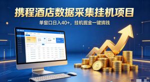 携程酒店全自动浏览掘金项目，稳定可矩阵，单窗口收益40+【揭秘】-聊项目