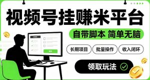 最新视频号挂G賺米平台，自带脚本，长期能做，简单无脑【揭秘】-聊项目
