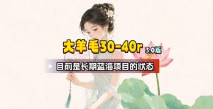 【大羊毛】几分钟30-40r，【流量体联盟】，可以矩阵，操作无脑简单-聊项目