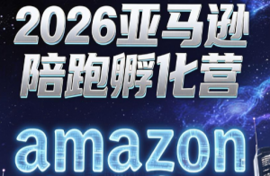 跨境米亚·亚马逊陪跑孵化营(更新7月)-聊项目