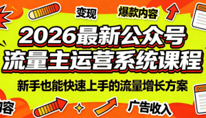 2026最新公众号流量主运营系统课程(更新7月)-聊项目
