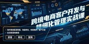 跨境电商客户开发与精细化管理实战课|海外精准客源挖掘、询盘转化、老客维护、客户分层全流程落地教程-聊项目