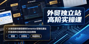 外贸独立站高阶实操课｜从域名服务器搭建到Elementor定制化建站，打造高转化询盘型独立站全教程-聊项目