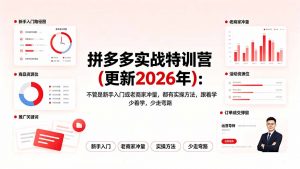 拼多多实战特训营(更新2026年-聊项目