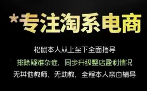 松鼠会电商VIP课程,从基础布局到高阶优化,助你掌握淘宝运营逻辑,提升店铺流量与转化(更新0711)-聊项目