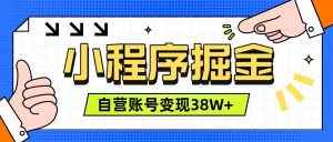 微信小程序掘金,团队自营小程序累计变现38W+,稳定运营三年,一部手机即可操作-聊项目