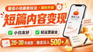 番茄小说最新短篇玩法,稳定日入500+!副业必看,小白可玩,限时开放【揭秘】-聊项目