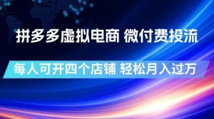 拼多多虚拟电商,微付费投流玩法,每人可开四个店,轻松月入过1W【揭秘】-聊项目