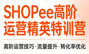 梦凡老师·Shopee虾皮高阶运营课程(更新)-聊项目