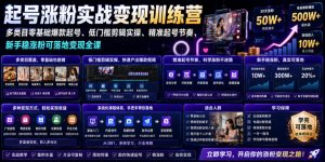 苗子起号涨粉实战变现训练营,多类目零基础爆款起号、精准起号节奏、新手稳涨粉可落地变现全课(更新0719)-聊项目