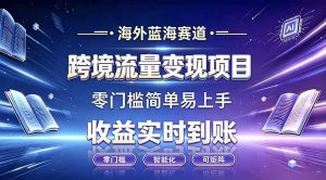 海外蓝海赛道 跨境流量变现项目 收益实时到账 零门槛简单易上手-聊项目
