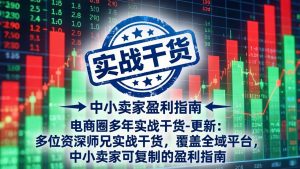 电商圈多年实战干货-更新2026:多位资深师兄实战干货/覆盖全域平台,中小卖家可复制的盈利指南-聊项目