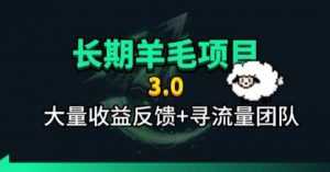 长期羊毛项目，小程序订阅3.0，几分钟单号30-50r，全自动项目，被动收益-聊项目