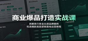 商业爆品打造实战课：拆解各行各业头部品牌案例，吃透爆款底层逻辑落地运营教程-聊项目