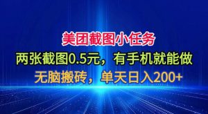 美团截图小任务，两张截图0.5元，有手机就能做，单天日入200+【揭秘】-聊项目