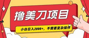 撸美刀，单日收入2000+，小白可做-聊项目