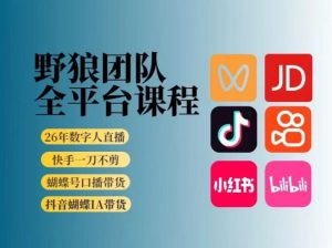 野狼团队2026新版全平台短视频带货教学，打开流量突破口，开始Ai带货(更新0724)-聊项目