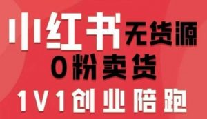 小红书无货源0粉电商课，开店准备、选品策略、笔记撰写、视频剪辑、数据分析、账号打造、资料文档(更新26年7月24日)-聊项目