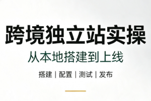 跨境独立站实操:从本地搭建到上线-聊项目