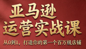 skyla·亚马逊运营实战课(更新7月)-聊项目