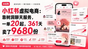 小红书虚拟电商：靠树洞聊天服务，一单20起，361天卖了9680份-聊项目