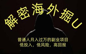 解密海外掘U，普通人月入过万的副业项目，低投入、低风险高回报，没有之一-聊项目