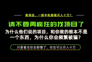 为什么做项目的人大多都是炮灰？为什么只有卖项目才能稳？看完你也可以月入10W+【揭秘】-聊项目