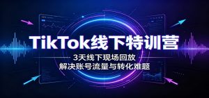 TikTok线下特训营：3天线下现场回放，解决账号流量与转化难题-聊项目
