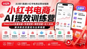 小红书电商AI提效训练营—DeepSeek批量标题+快速混剪+爆款选题+达人玩法,解决新店流量低与出单难题-聊项目