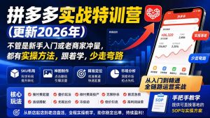 拼多多实战特训营(更新26年0822-聊项目