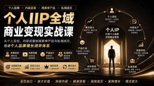 个人IP全域商业变现实战课 (无水印-聊项目