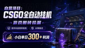 自营项目：CSGO全自动挂G，游戏搬砖捡漏，软件科技简单易用，长期稳定，小白单日300+利润【揭秘】-聊项目