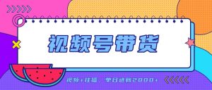 日入2000+的副业，视频号带货，一部手机改写人生篇章，无需投资-聊项目