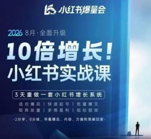 戴小胖·8月28-30号线下课视频20小时，小红书爆量会实战课，6大系统全新升级，3天重做一套小红书增长系统-聊项目