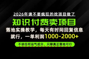为什么做项目总是被割，为什么卖项目月入10w+，我们普通人应该怎么真正开始賺钱？【揭秘】-聊项目